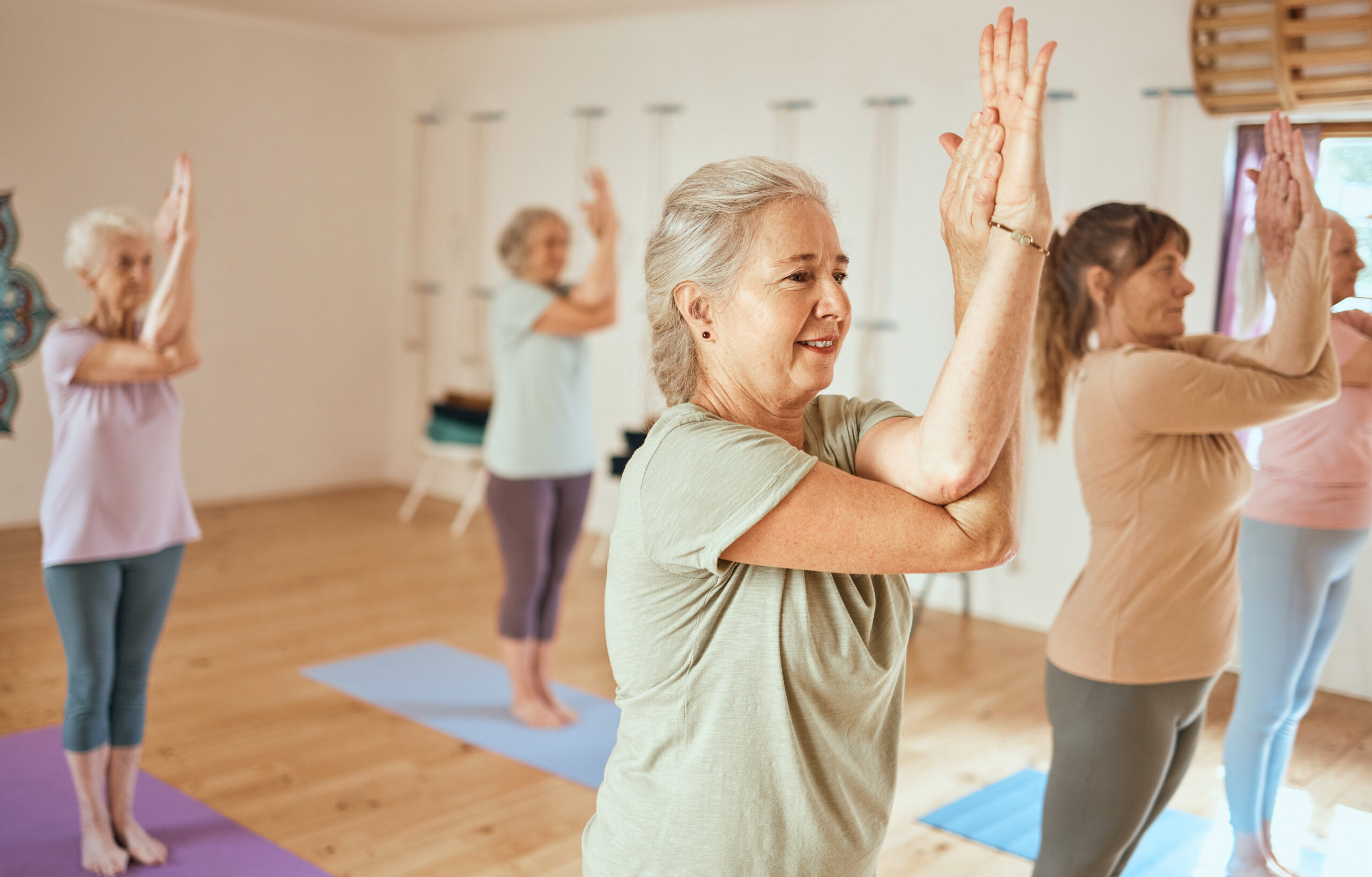 senhoras realizando exercícios físicos