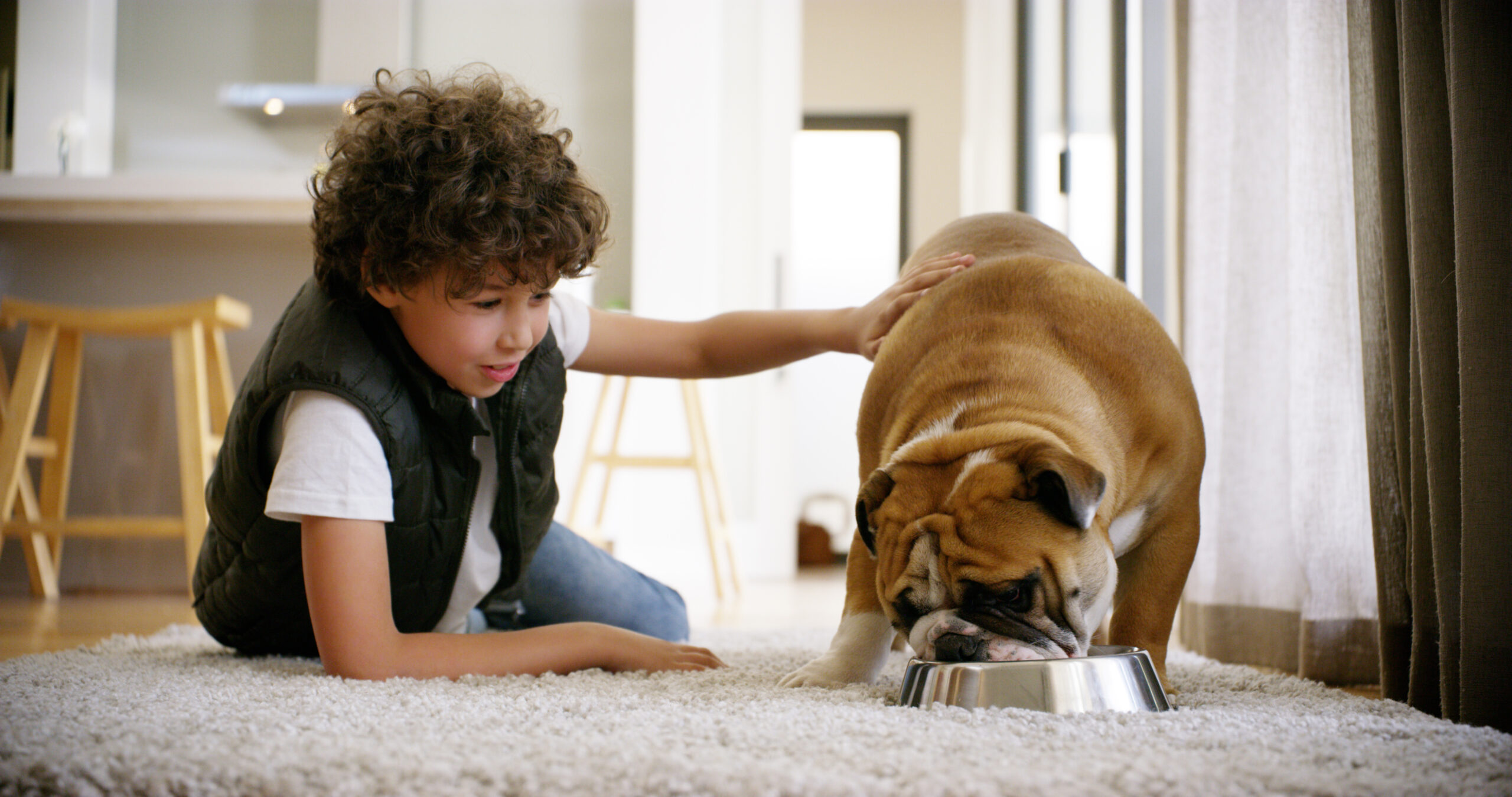 criança alimentando o pet com uma das opções de melhor ração para cachorro
